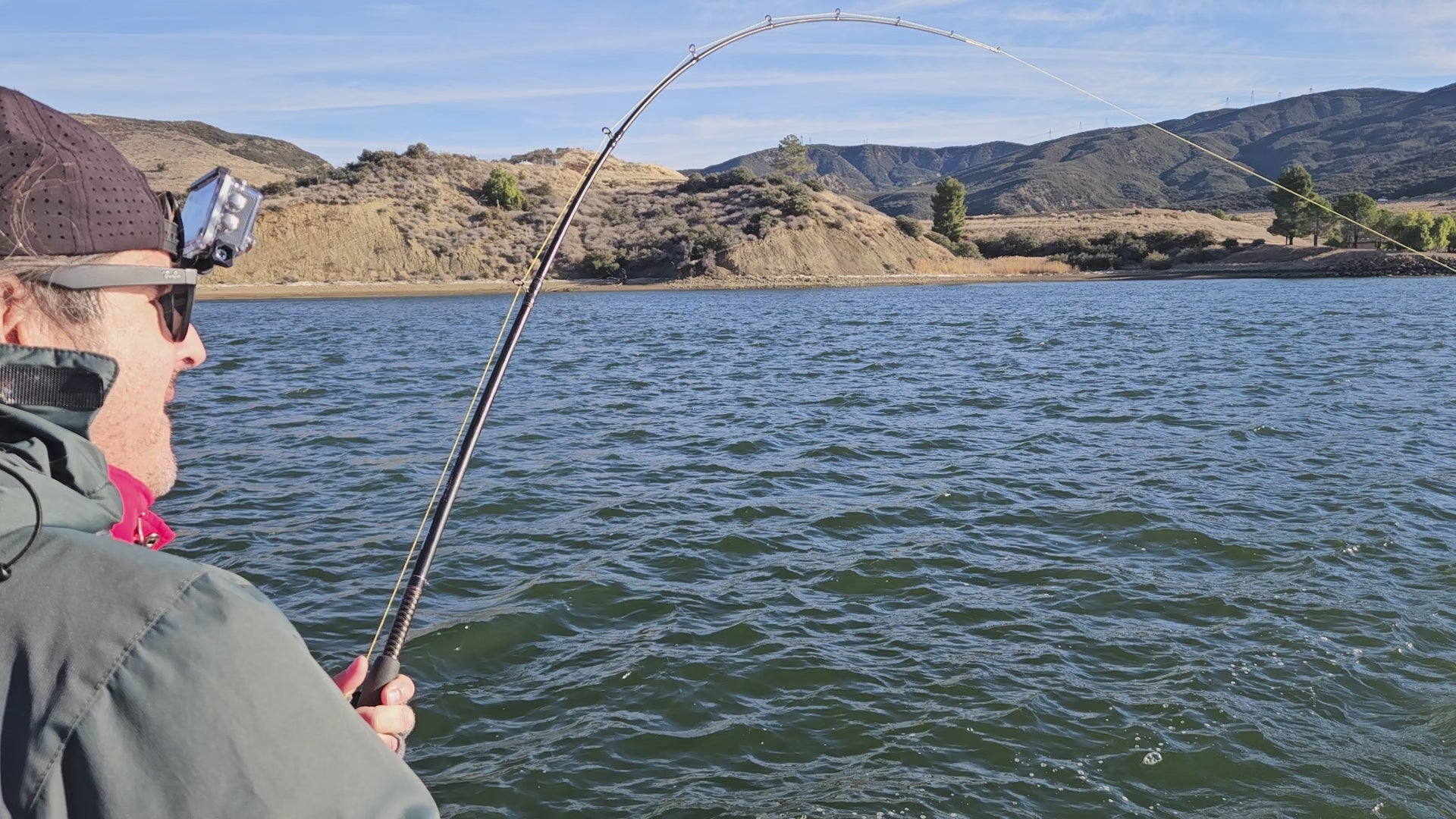 This image shows 3 striped bass being landed on an EZ U-Rig. They were caught trolling on a downrigger from 75 foot down.